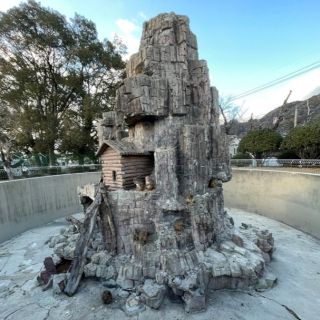 【終了しました】”サル山”お別れイベント　～サル山に入ってみよう～