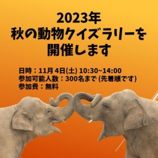 【終了しました】2023年秋のクイズラリーを開催します。(11月4日(土))