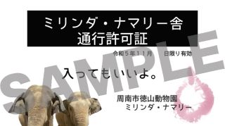 【終了しました】ゾウのおうち訪問
