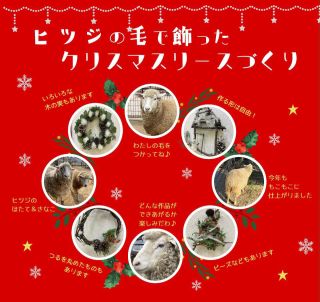 【終了しました】ヒツジの毛で飾ったクリスマスリース作り
