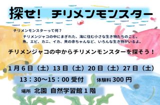 【終了しました】探せ！チリメンモンスター