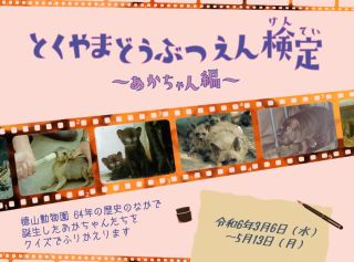 【終了しました】企画展 「とくやまどうぶつえん検定～あかちゃん編」
