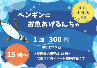ペンギンにお魚あげるんちゃ