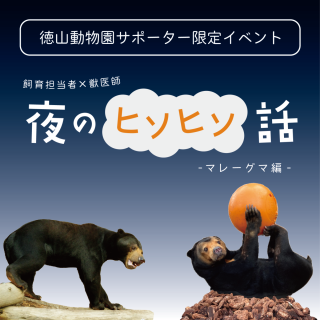 【終了しました】サポーター限定オンラインイベント「夜のヒソヒソ話」