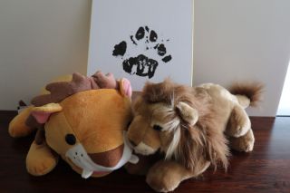 【終了しました】秋の動物園ビンゴdeアニマルSPライオンVerを開催します！！
