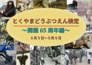 企画展「とくやまどうぶつえん検定～開園65周年編～」