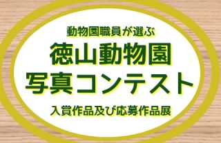 動物園職員が選ぶ徳山動物園写真コンテスト 入賞作品及び応募作品展