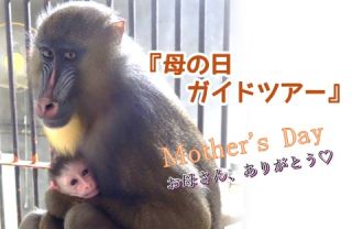 『母の日ガイドツアー』のおしらせ