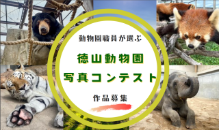 【終了しました】動物園職員が選ぶ徳山動物園写真コンテスト作品募集