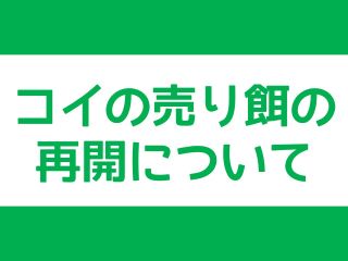 コイの売り餌の再開について
